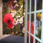 Ottawa Wall Graphics - Petra